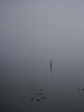 Immer nie am Meer - Secession Nyx